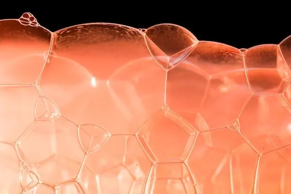 Macrofotografía de ingredientes botánicos secos, como ramitas de romero y gotas de líquido transparente, sobre una superficie de piedra fría. Luz dorada cálida filtra desde un lado, creando reflejos suaves y sombras profundas. Enfoque nítido en la textura de la planta, estética elegante y natural. Macrofotografía de ingredientes botánicos secos, como ramitas de romero y gotas de líquido transparente, sobre una superficie de piedra fría. Luz dorada cálida filtra desde un lado, creando reflejos suaves y sombras profundas. Enfoque nítido en la textura de la planta, estética elegante y natural.