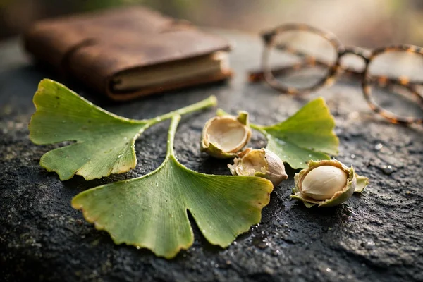 Ginkgo biloba y erección: qué dice la evidencia