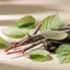 Naturaleza botánica refinada: Uncaria tomentosa (uña de gato), aloe vera, raíz de ginseng, hojas de ortiga y una representación sutil de probióticos sobre una superficie cálida y limpia, bajo luz natural difusa.