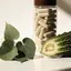 Composición de bodegón editorial para cápsulas de Diaten con hojas de Gymnema sylvestre y melón amargo, junto a elementos visuales neutros para el ácido alfa-lipoico y la vitamina C. Fondo con envase de cápsulas sencillo y sin marca, luz natural suave y texturas botánicas realistas.