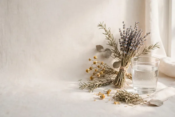 Una composición serena con elementos naturales, plantas medicinales y luz suave sobre una superficie de madera clara.